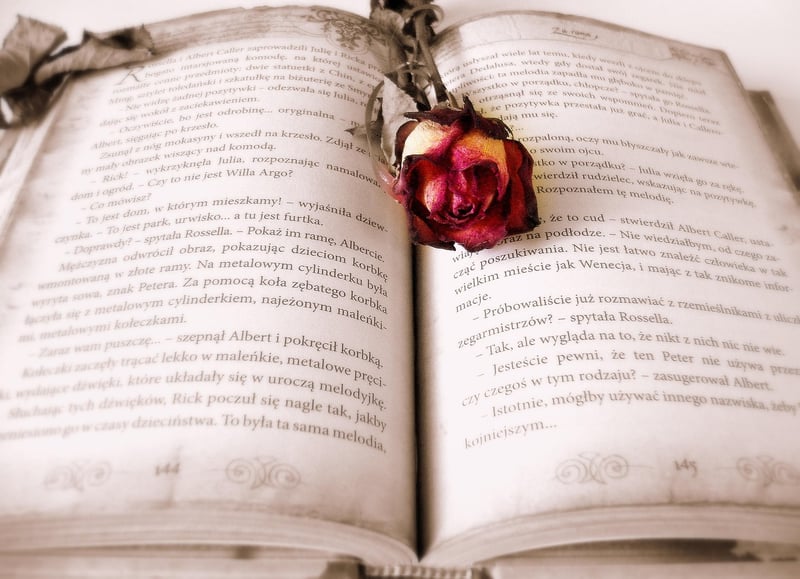 Book of Shadows